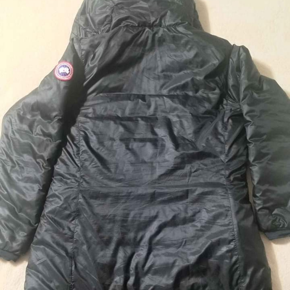 Canada goose